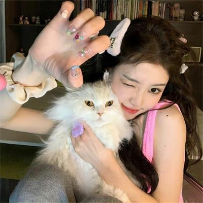 迪迦奥特曼：最终圣战